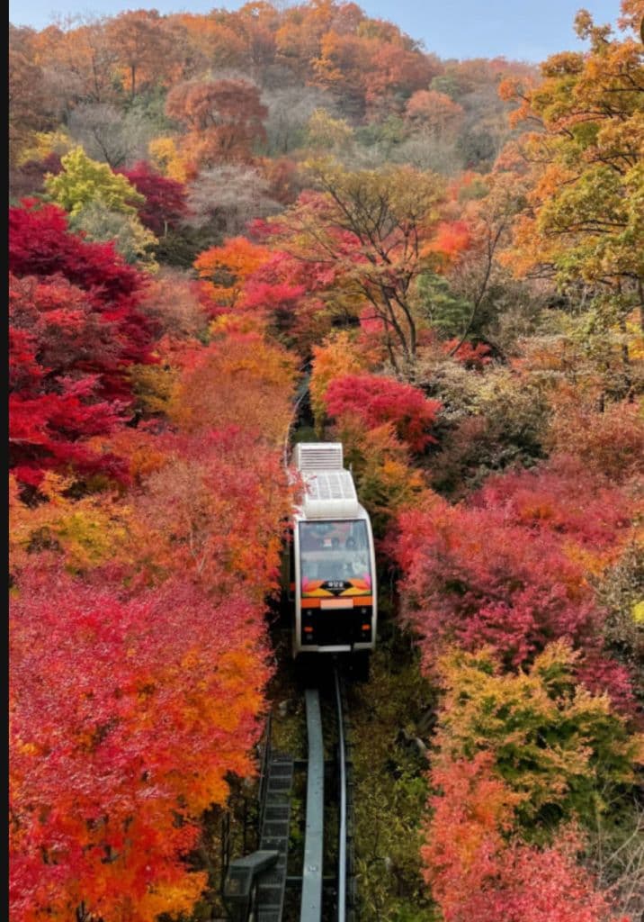 곤지암리조트 로얄 객실 xx평 숙박 양도 11월xx일 목, 화 담 숲 예약가능 이미지 1