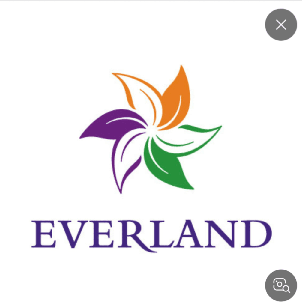 에버랜드 연간이용권 대인2 소인2 삽니다. 이미지 1