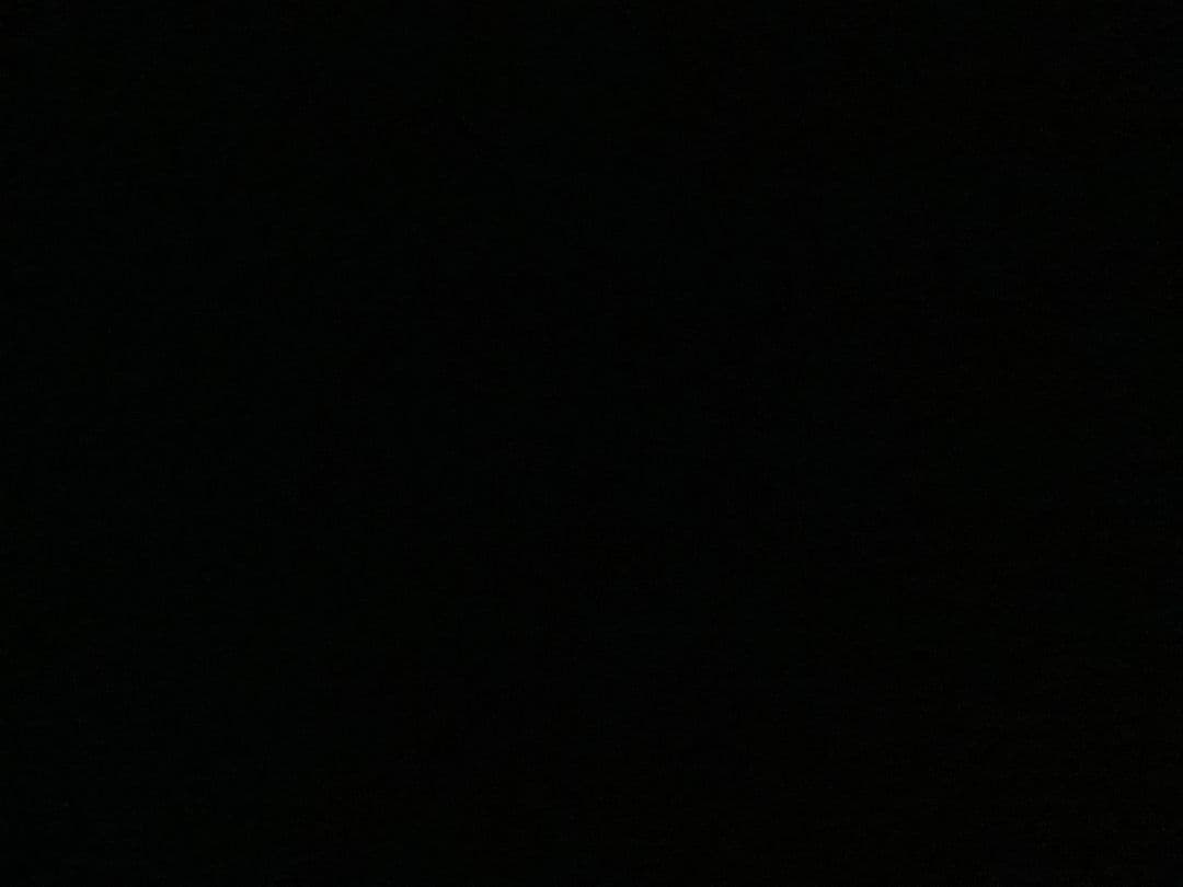 에버랜드 자유이용권(~12/xx) 이미지 1